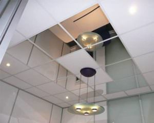 Glassless Mirror, Ceiling Panel from Rose Brand